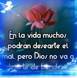 Meet your Posher, Ofelia